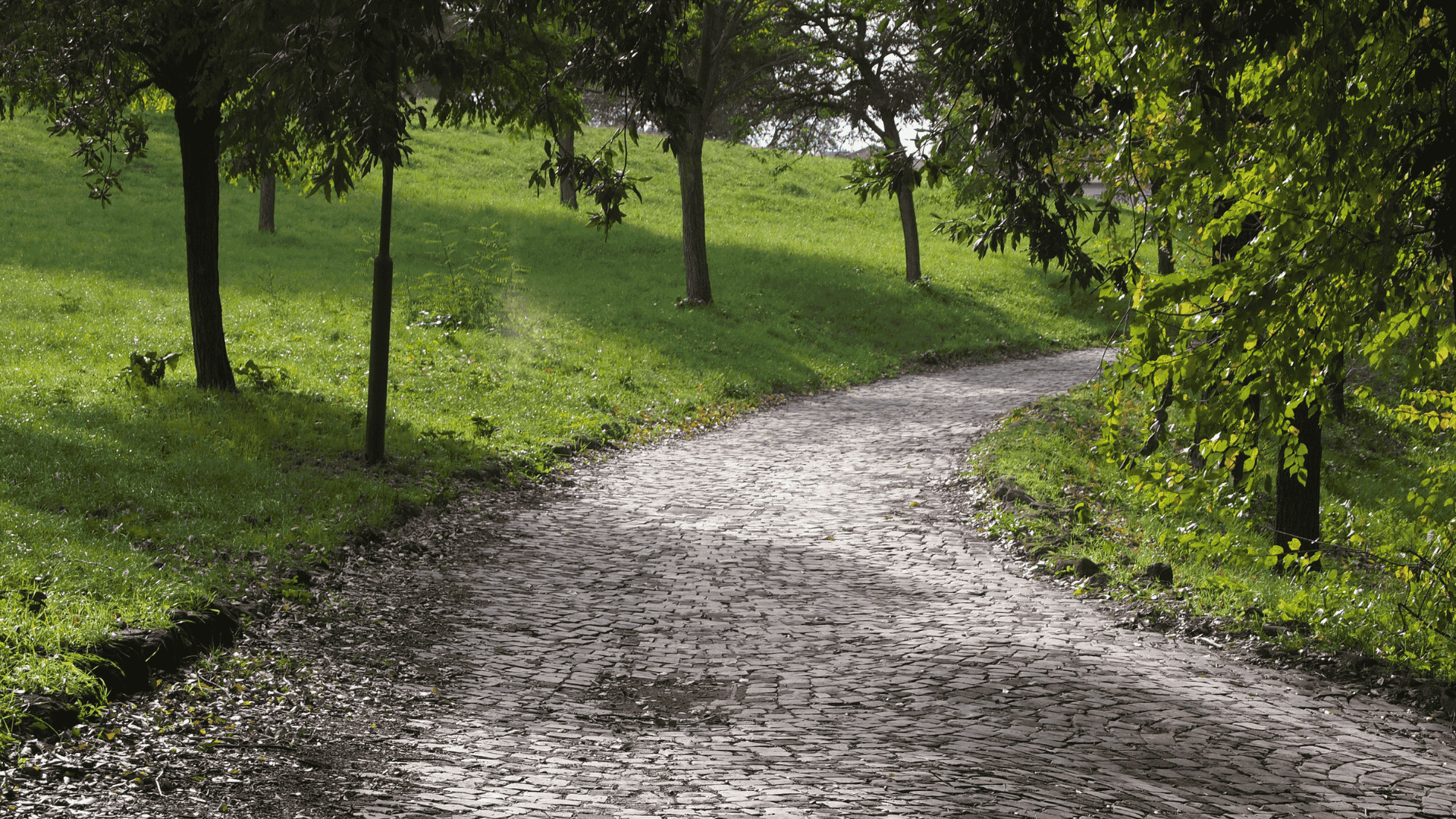 pórfido para senderos residenciales