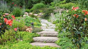 senderos de jardín con piedra