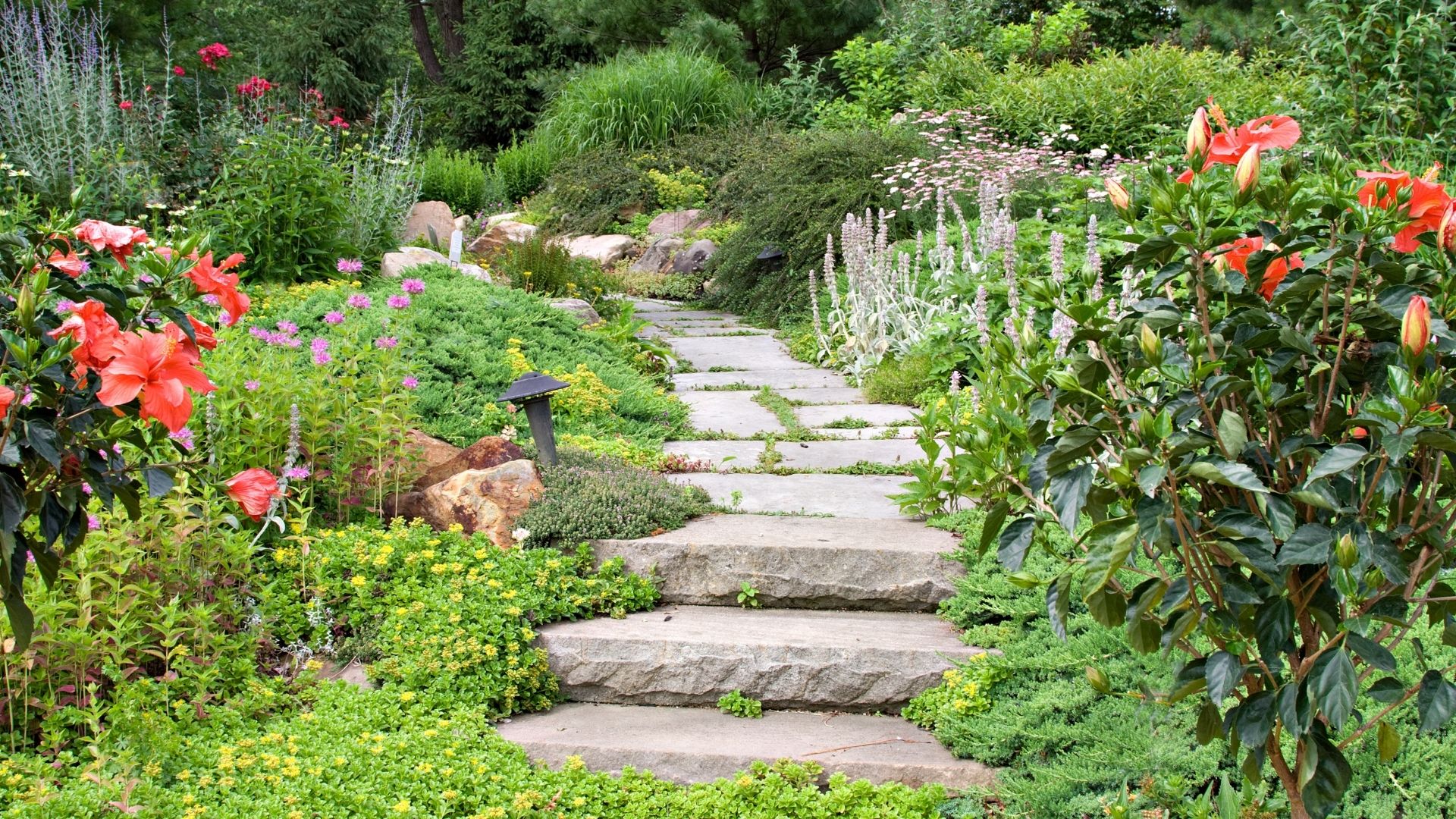senderos de jardín con piedra