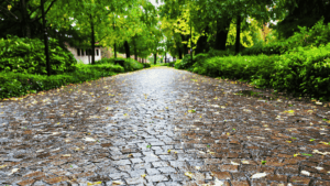 huellas de piedra natural