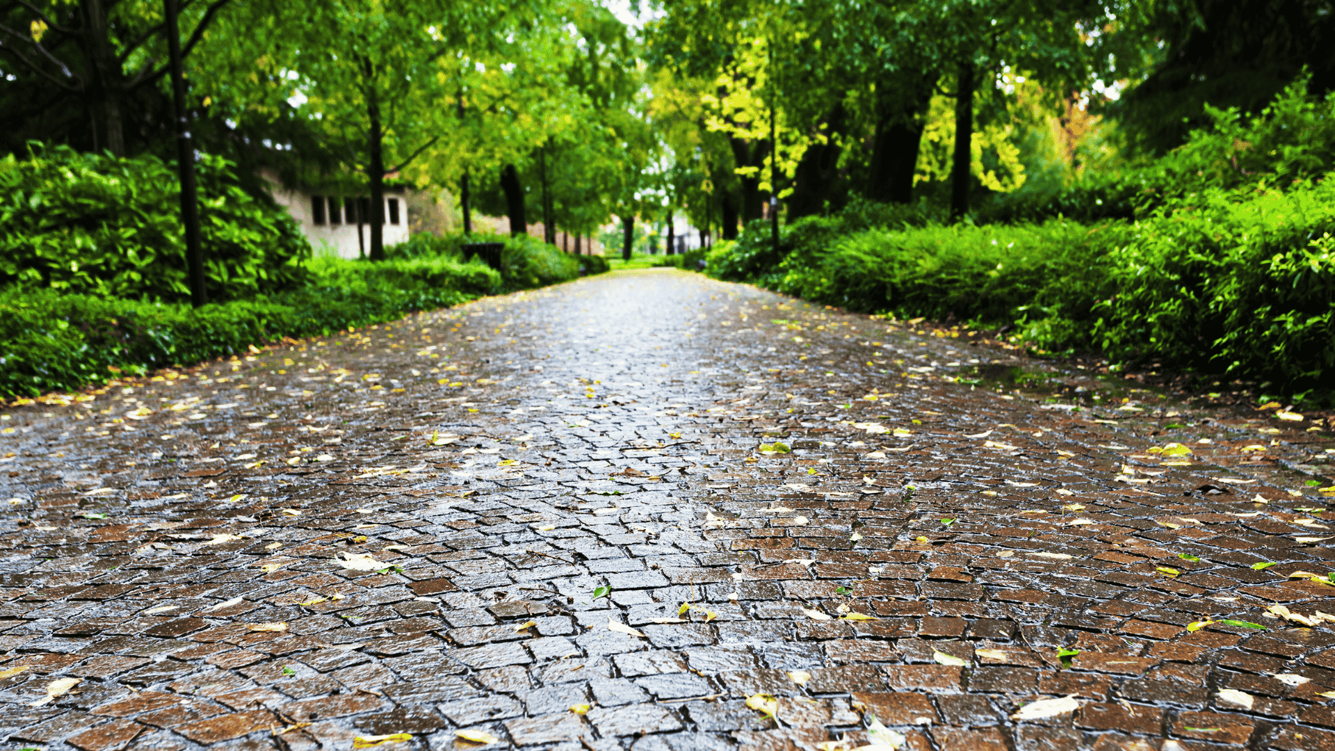 huellas de piedra natural