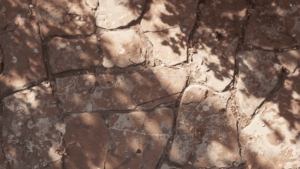 pisos de laja natural