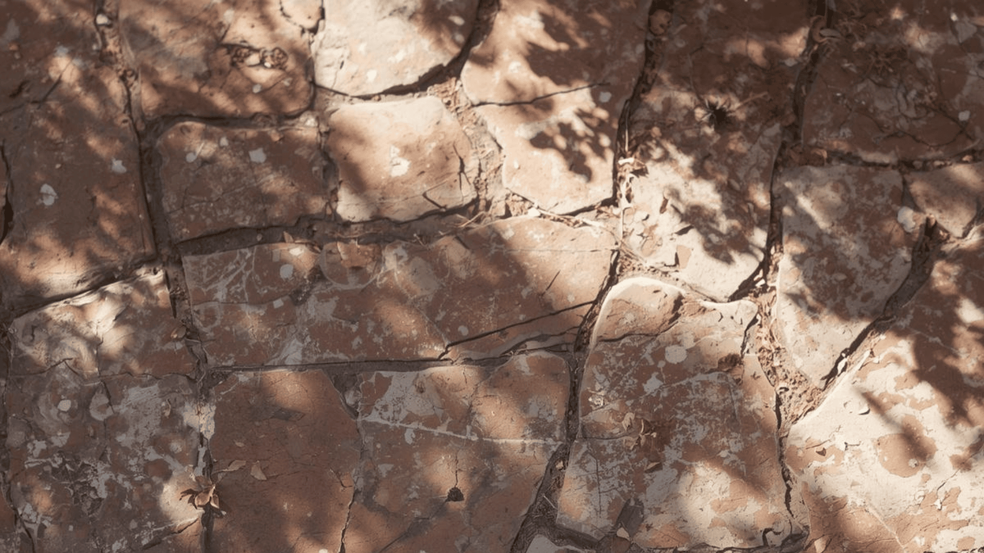 pisos de laja natural